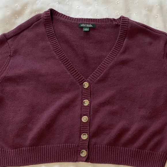 Wild Fable Sweaters | Burgundy Cropped Cardigan | Color: Brown | Size: S | Essentialsbybae's Closet